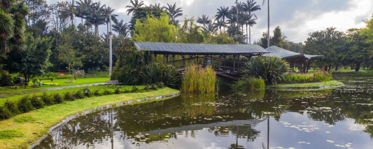 El Jardín Botánico es uno de los pulmones de Bogotá y cuenta con una gran variedad de especies de flora y fauna.