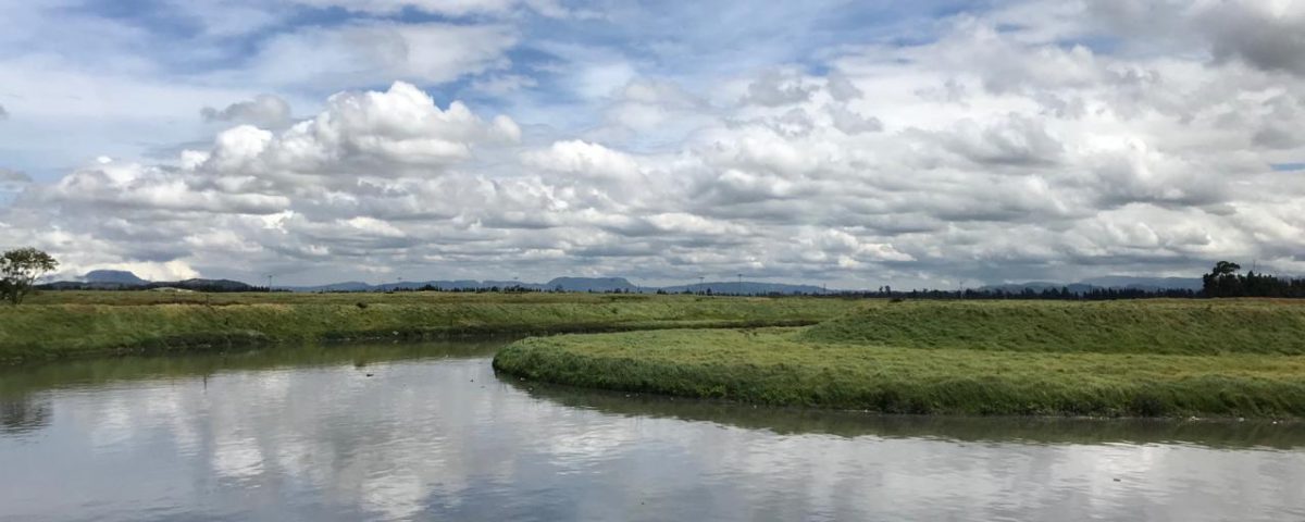 Por medio de nuevos hábitos, la ciudadanía puede contribuir a recuperar y proteger el río Bogotá. Foto: Comunicaciones Secretaría de Ambiente.