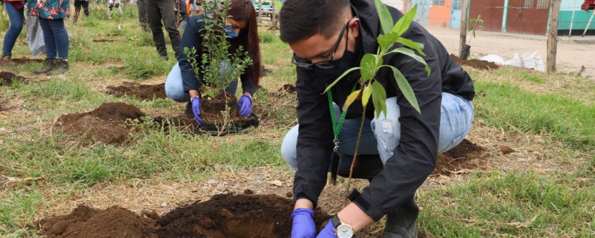 Secretaría de Ambiente, entidades, ambientalistas y comunidad plantaron 311 árboles en el humedal La Vaca, sector sur.
