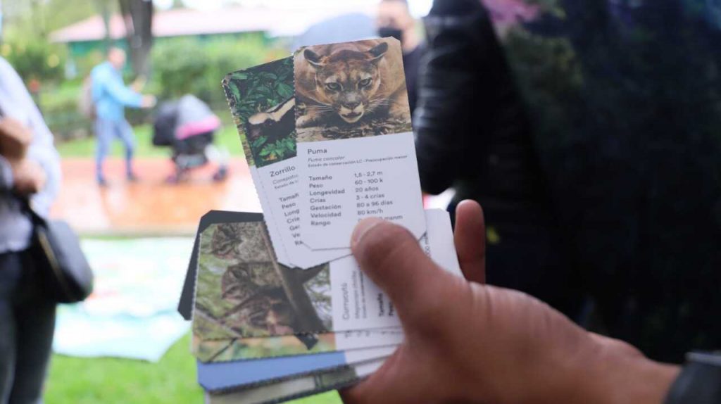 Con fichas animadas e informativas, el equipo de la Secretaría de Ambiente enseñan sobre la fauna de Bogotá. Foto: Comunicaciones. 