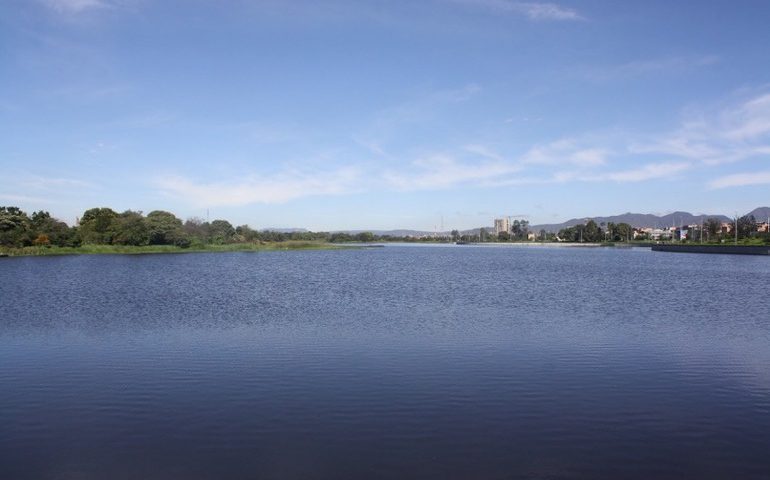 Humedal de Bogotá