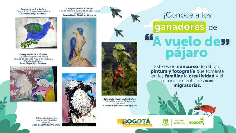 Homenaje a aves migratorias: Concurso 'A vuelo de pájaro'