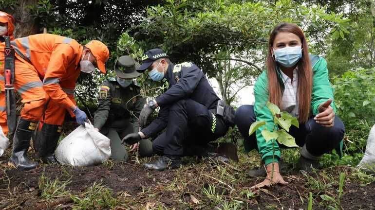 En el Día Mundial del Árbol, Bogotá reverdece con nuevos árboles plantados