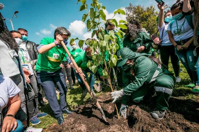 Bogotá aumenta su propia meta y tendrá un millón de árboles nuevos al finalizar 2023