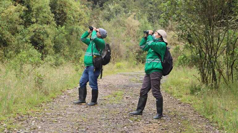 Con cámaras trampa y otras metodologías, Secretaría de Ambiente evalúa la fauna y flora de Bogotá