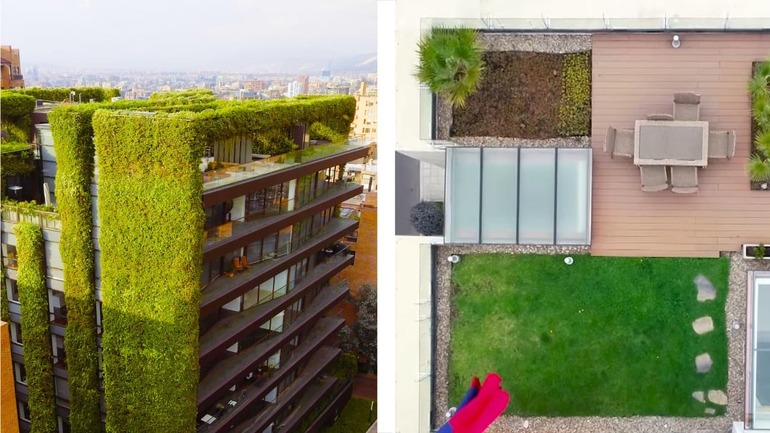 Tendencia: techos verdes y jardines verticales