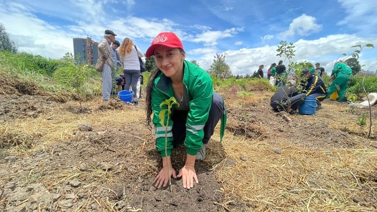 Plantación: 2000 nuevos árboles se plantaron en el humedal El Burro