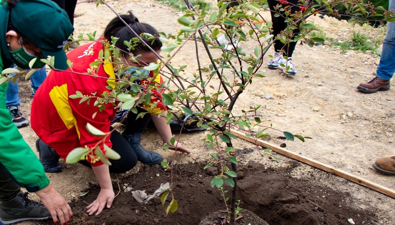 Distrito plantará nuevos árboles para celebrar los Días de la Tierra y el Árbol 