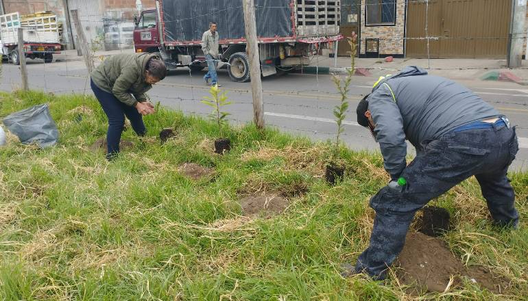 Plantación de árboles: 120 árboles fueron plantados en Kennedy y Rafael Uribe Uribe