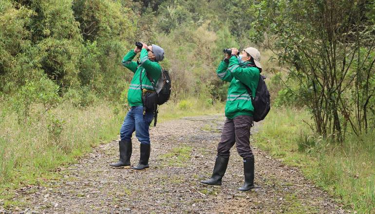 grupo de biólogos en avistamiento de aves en Bogotá