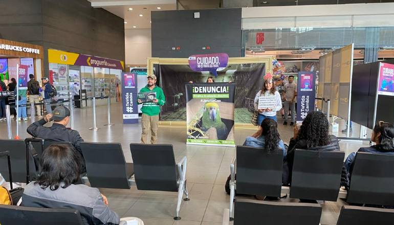 Distrito sensibilizó a viajeros que están en el aeropuerto El Dorado para evitar el tráfico de especies silvestres 