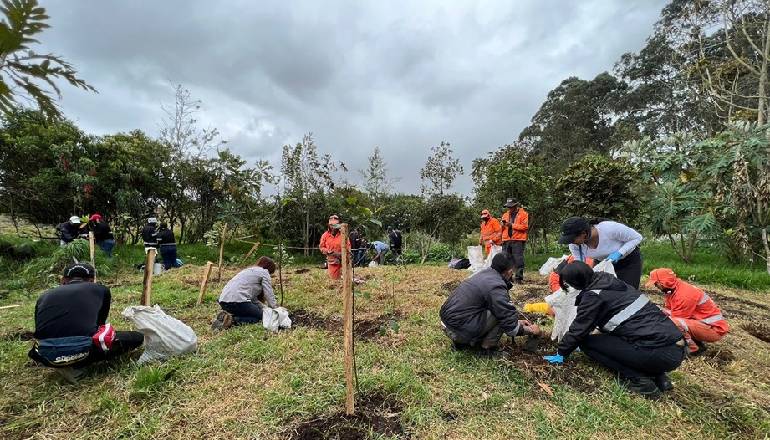 Semana Bogotá Reverdece: 135 nuevos árboles para el humedal La Conejera