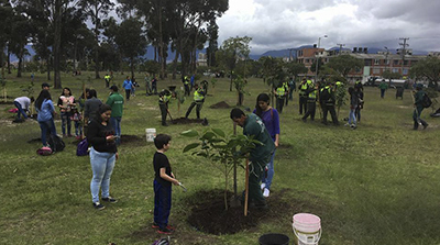 Una centena de plantaciones para celebrar el Día Nacional del Árbol